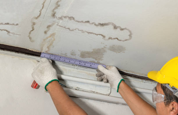 Reliable Flood Cleanup contractor in Rock Island, IL by Water Damage Irwin